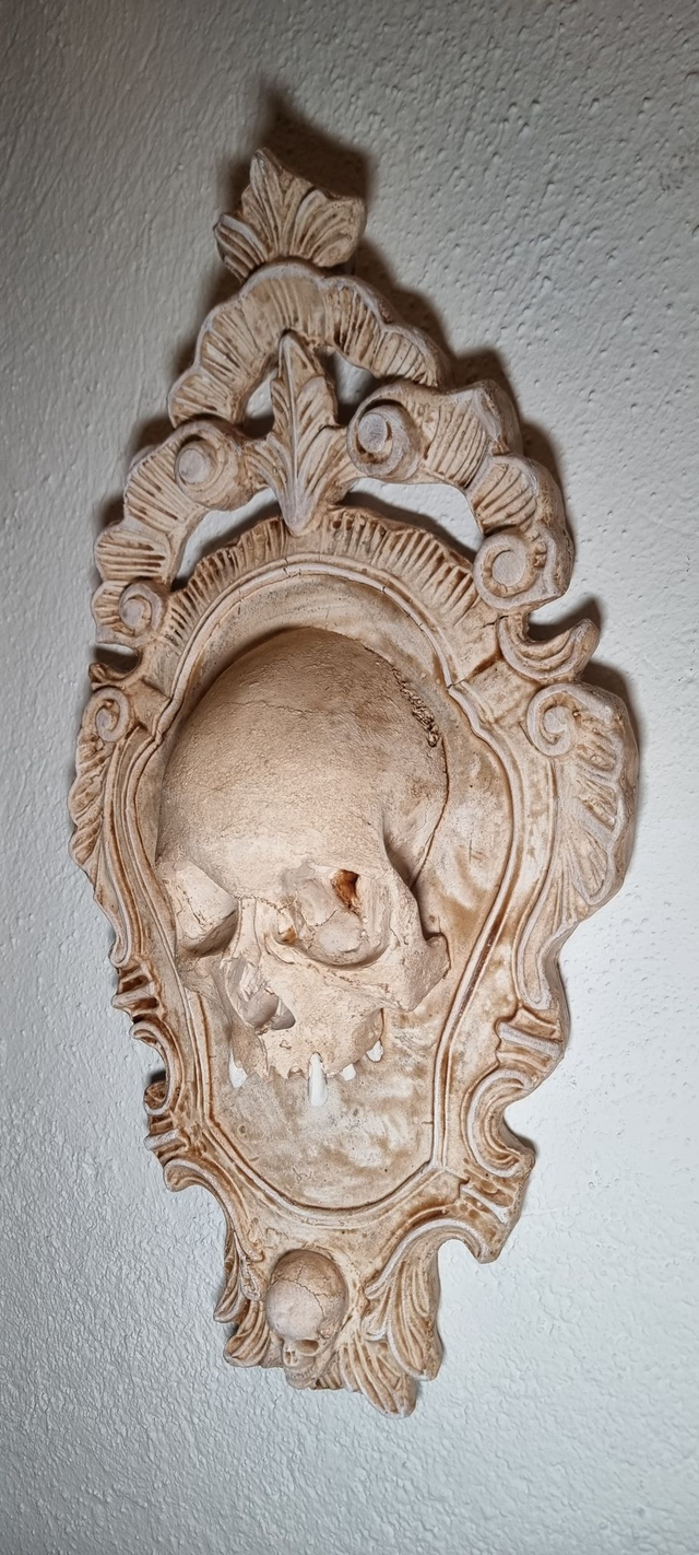 Schädelreplikat auf Rahmen zum aufhängen, ca 44cm x 24cm