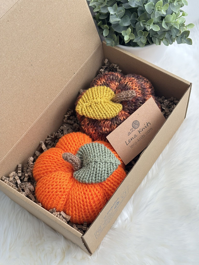 Citrouilles (Lot de 2)   