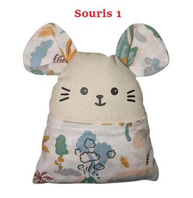 Souris dent de lait - coffret garçon