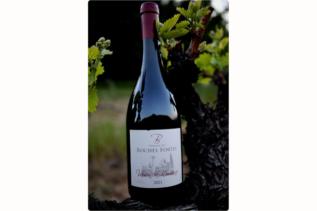 Vaison la Romaine Rouge  2023