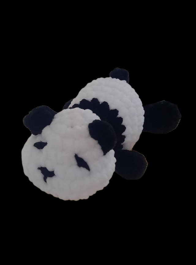 Petit panda