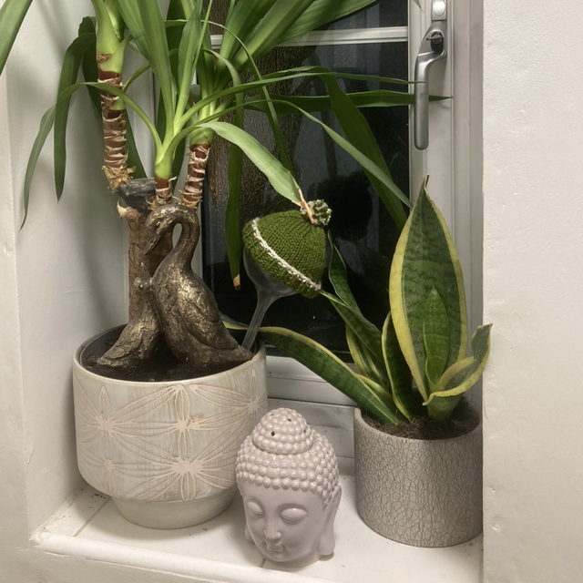 Watering Globe Charity Bobble Hats 