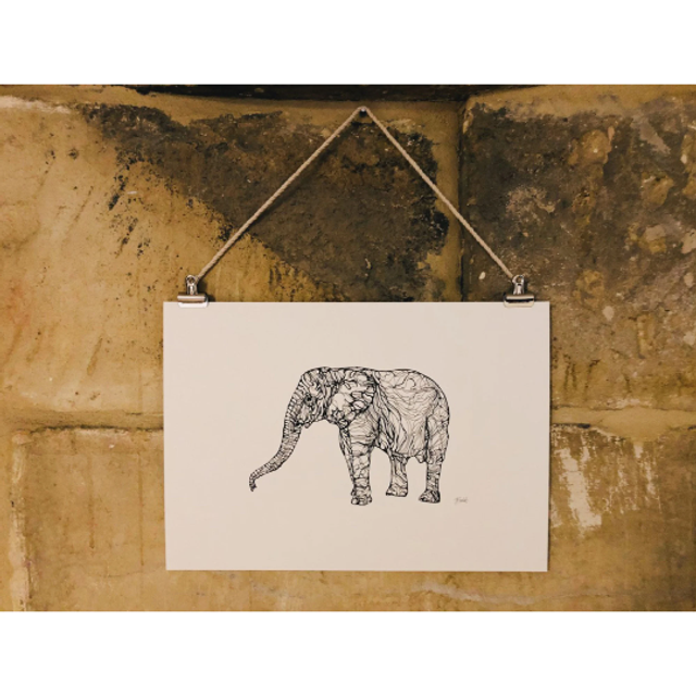 B&W A3 print - elephant