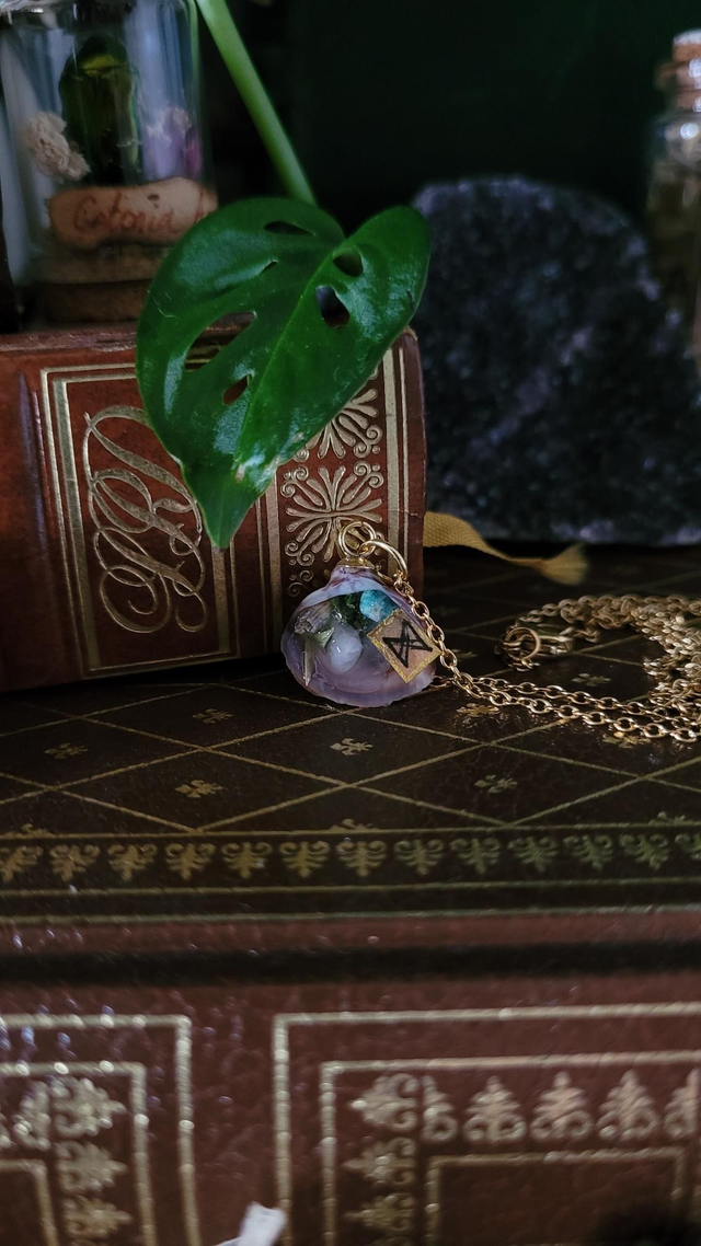 Coquillage : Apaisement 