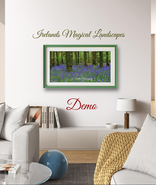 Make one of our images your own and transform your Home, Office, Boardroom, Business spaces, etc. 