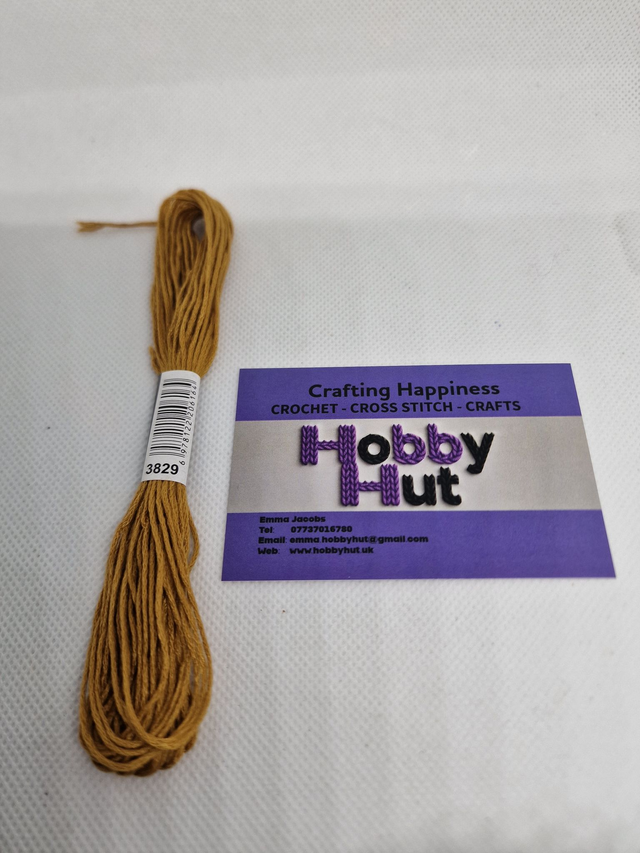 Embroidery Thread - 3829