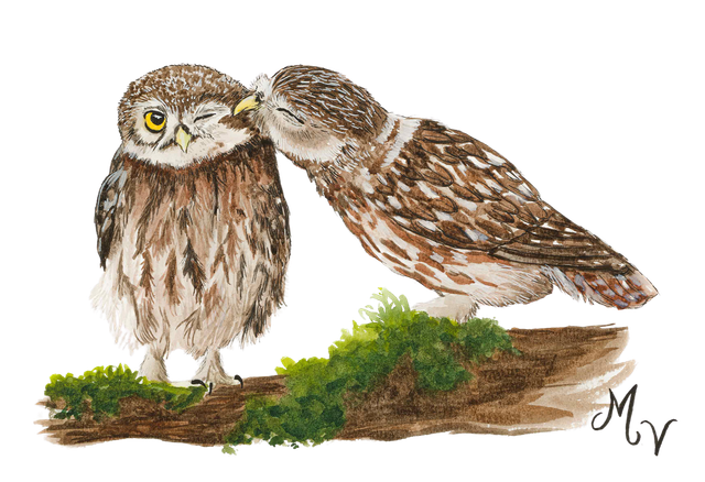 " Chouettes " - tirage d'art A4