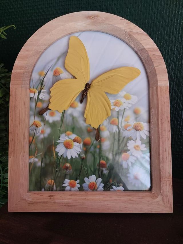 Cadre à poser papillon jaune