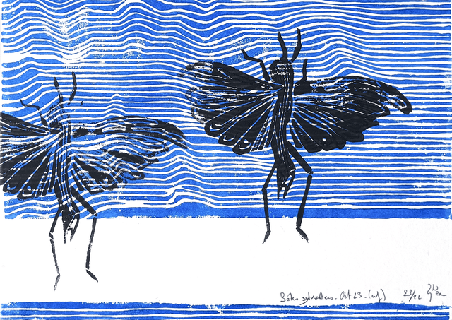 Bêtes sylvestres A5 22/22