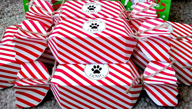 Christmas CAT Cracker 