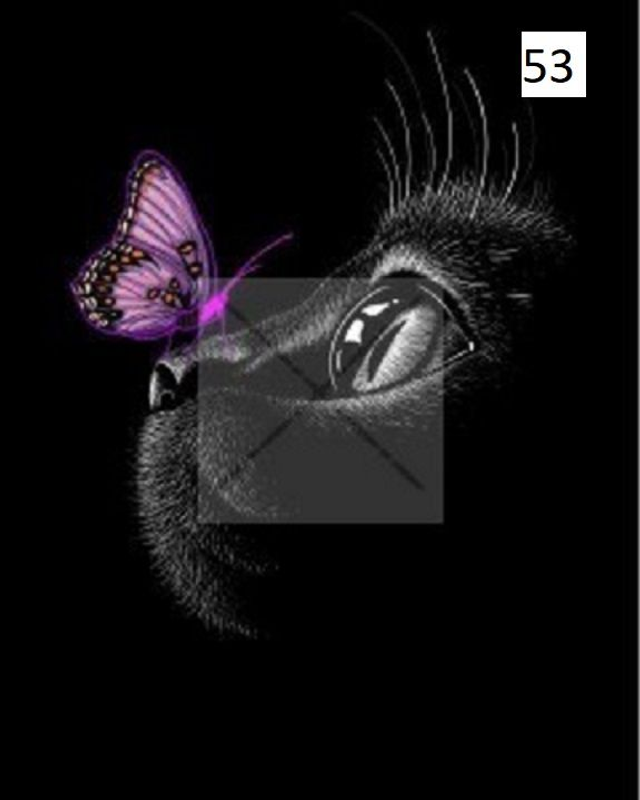 Panneau Chat noir Papillon violet en polyester imperméable 50x50cm