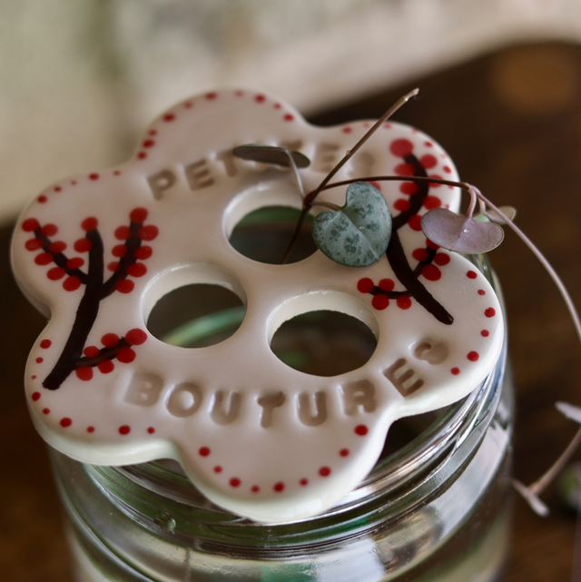 Disque de bouturage 🌱