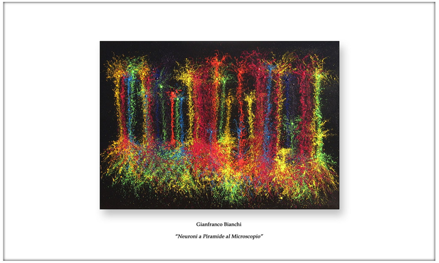 Litografia "Neuroni a Piramide al Microscopio"