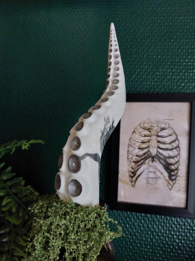 Tentacule noir et blanche déco pour plante