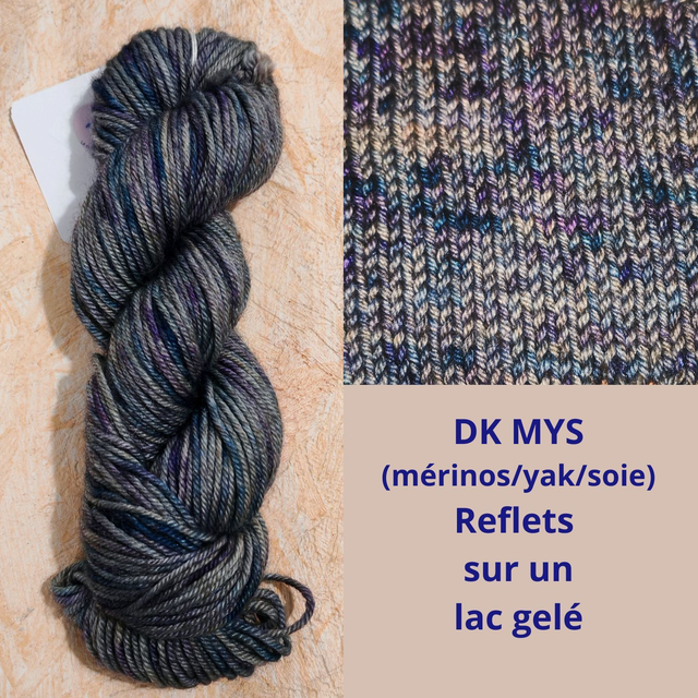 DK MYS Reflets sur un lac gelé