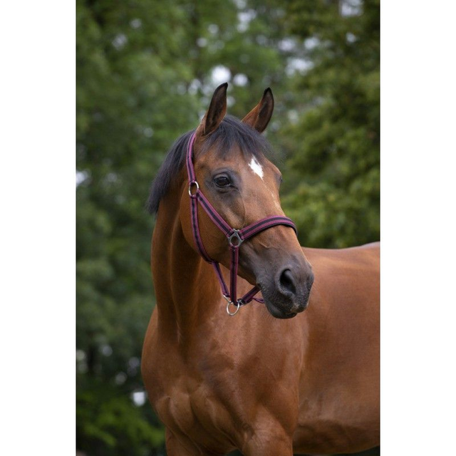 LICOL NORTON NYLON, DOUBLÉ NÉOPRÈNE