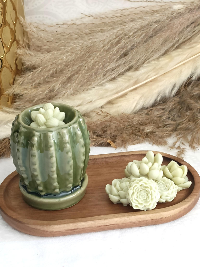 Fondants parfumés Cactus