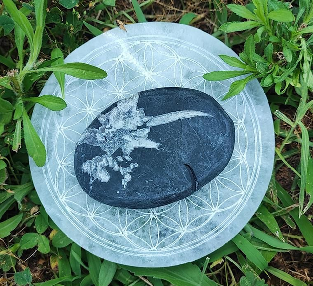 Galet Chrysanthème 70mm