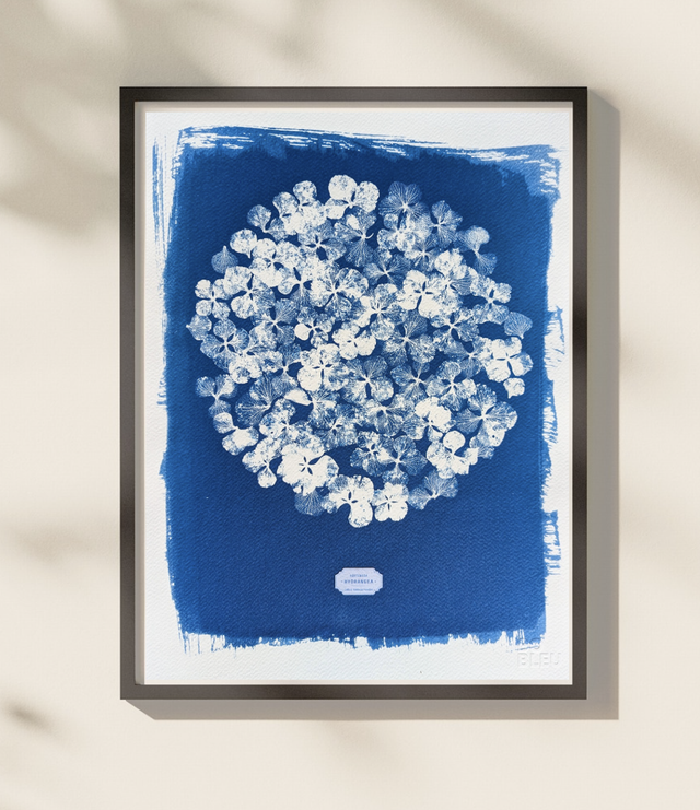 Cyanotype Hydrangea (30x40 cm) - n°394 - sans cadre