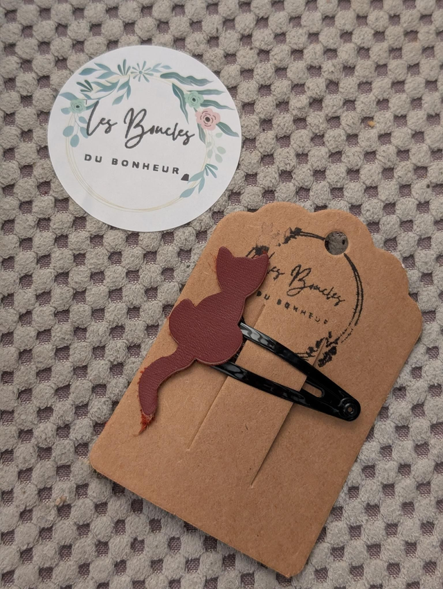 Barrette b052