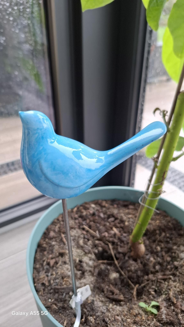 Oiseau à planter bleu