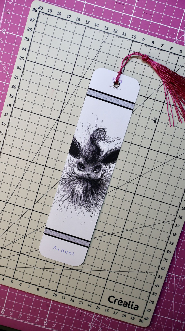 PYROLI • SÉRIE POKEMON