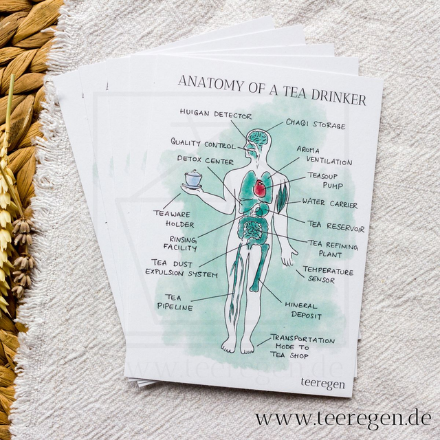 Anatomy of a Tea Drinker - Set of 5 - Tea Culture On Postcards