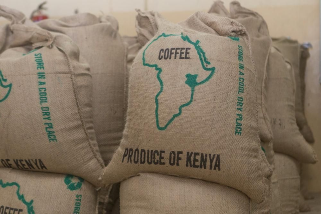 Kenya Coffee beans. 