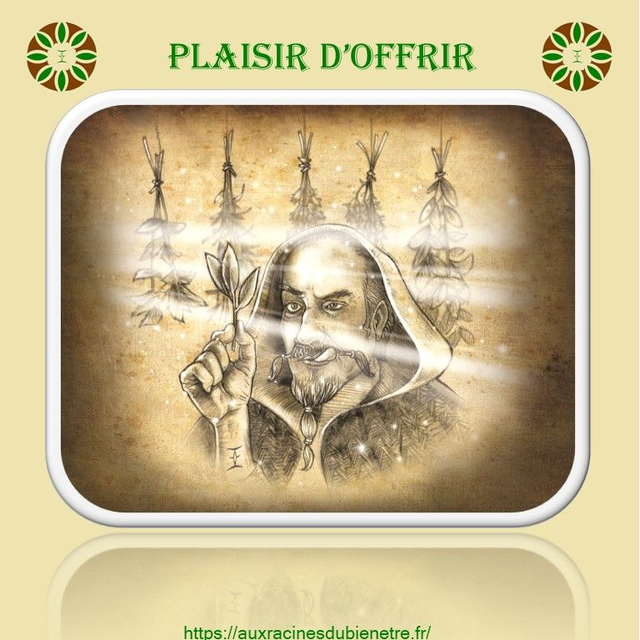 Coffret du druide