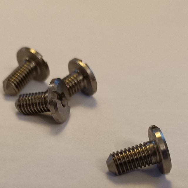 Genuine Remoska lid stainless steel screws (male) for R21, R22, R11, R12, R1103, R1202, R1203 (Classic, Standard, Grand)