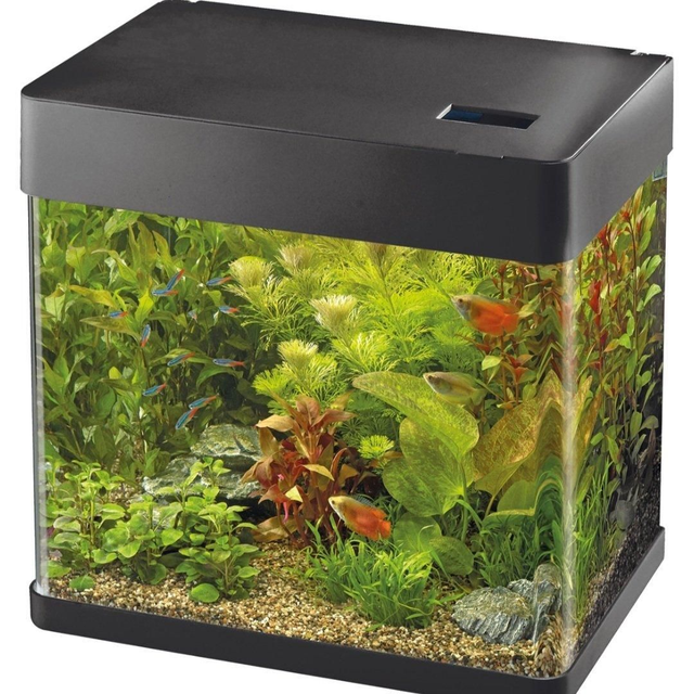 Sf panorama 20 zwart 8715897351563