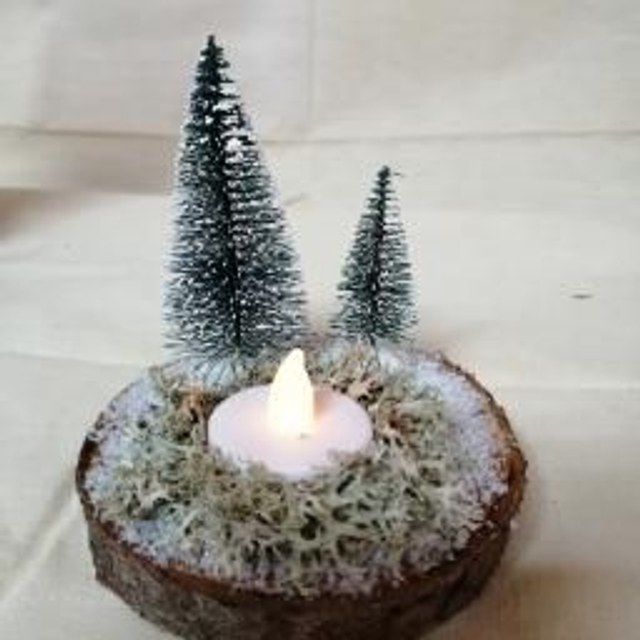 Mini-forêt enchantée : Centre de table Noël en bois avec micro-sapins