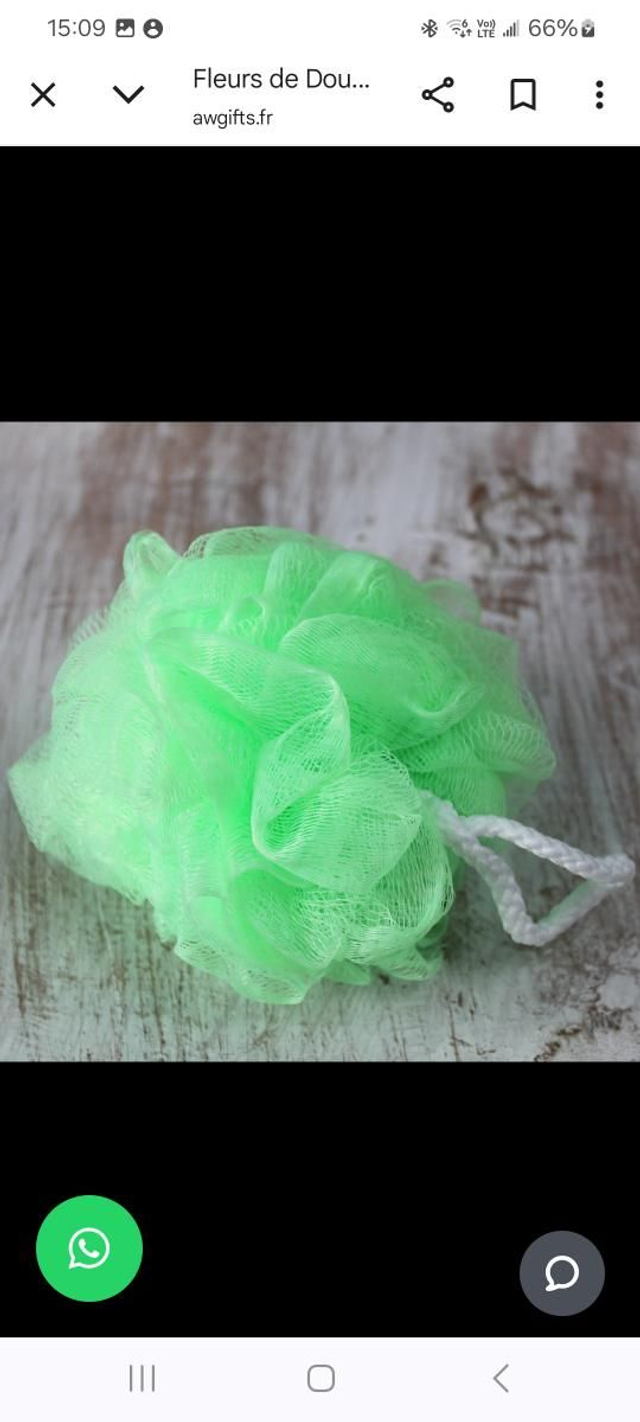 Fleur de douche verte 