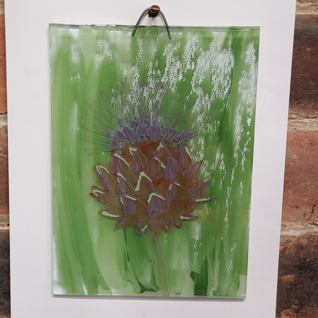 A5 Globe artichoke 