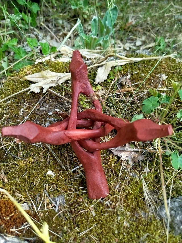 Trépied pour Coquille 