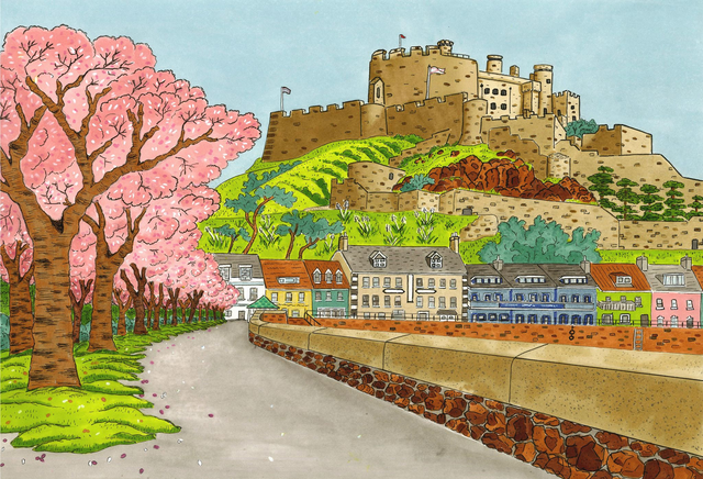 Cherry Blossoms at Mont Orgueil