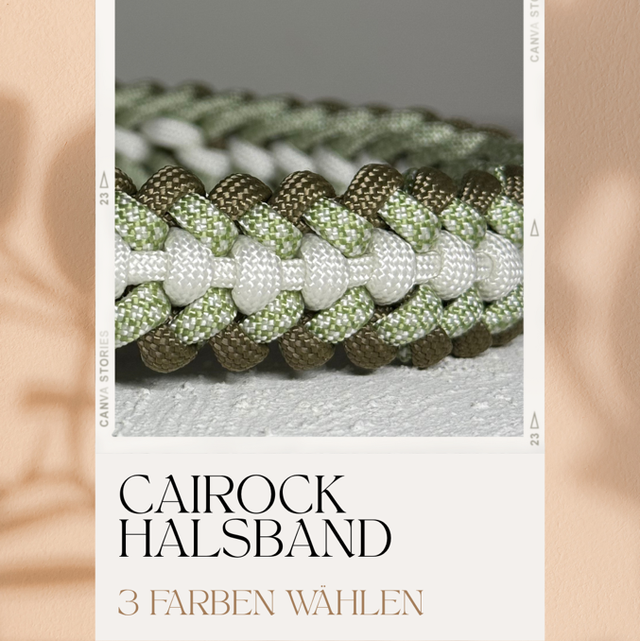 1 | Cairock - Create your own Halsband 