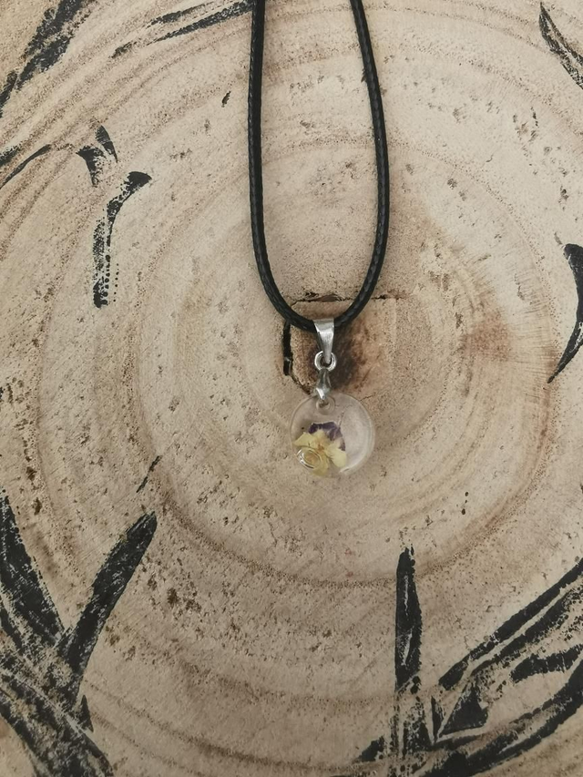 Mini pensée tricolor