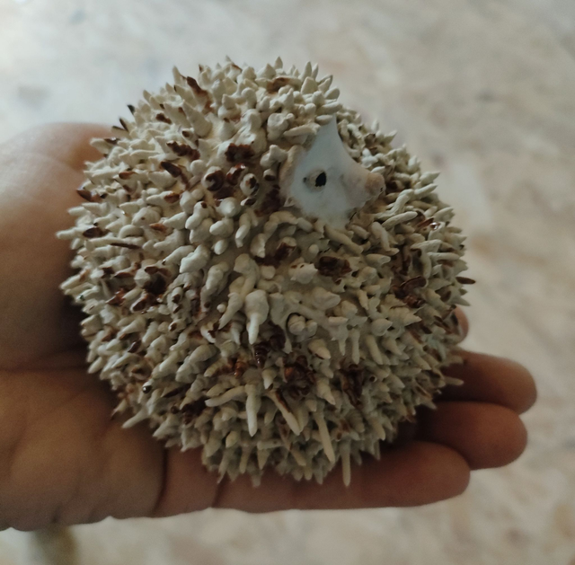 Hérisson roulé en boule – sculpture en céramique artisanale, pièce unique fait main