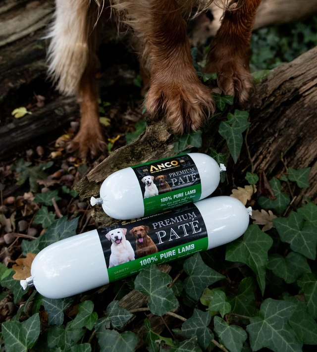Anco Premium Paté 400g