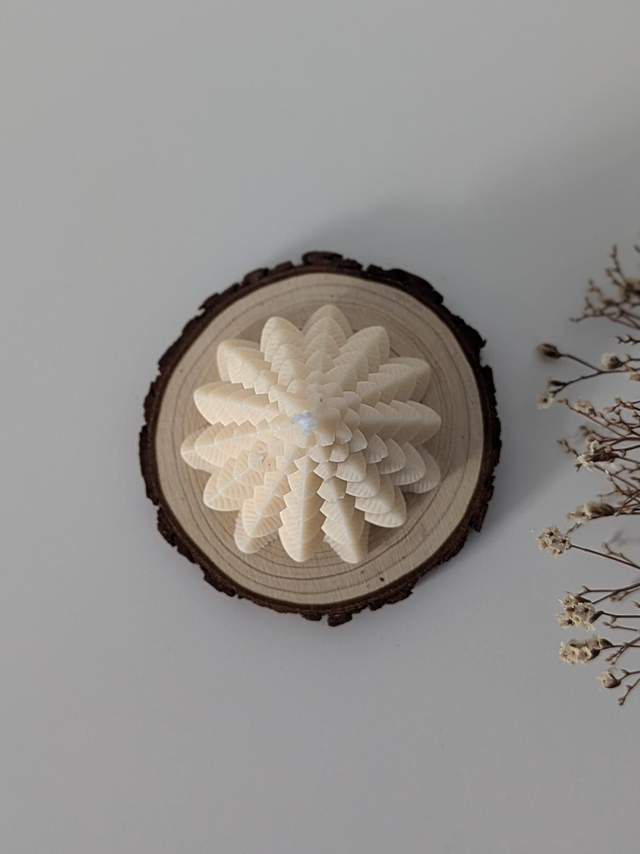 Le Traditionnel | Sapin