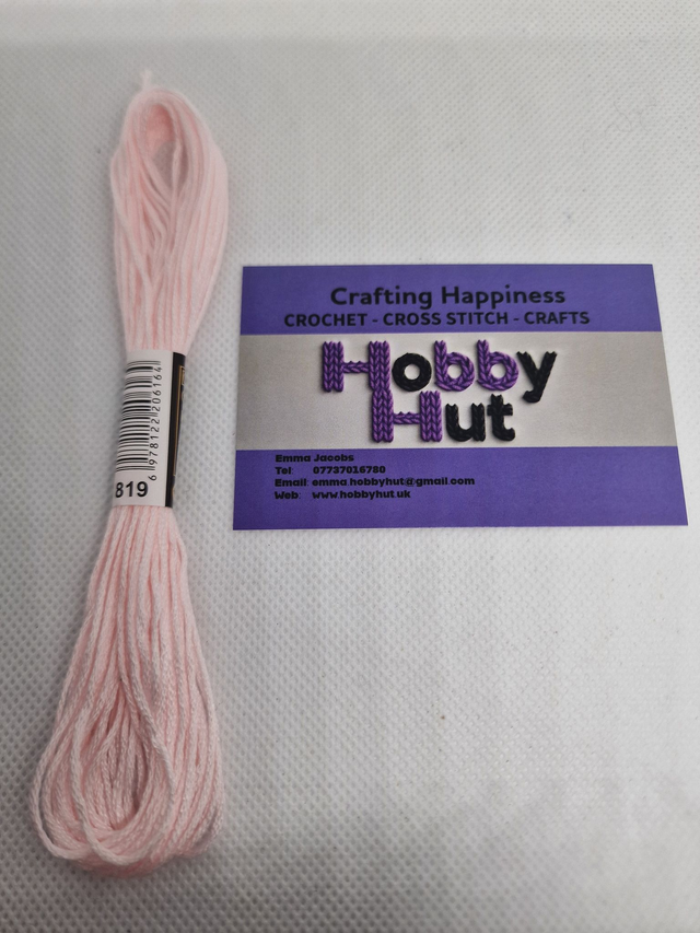 Embroidery Thread - 819