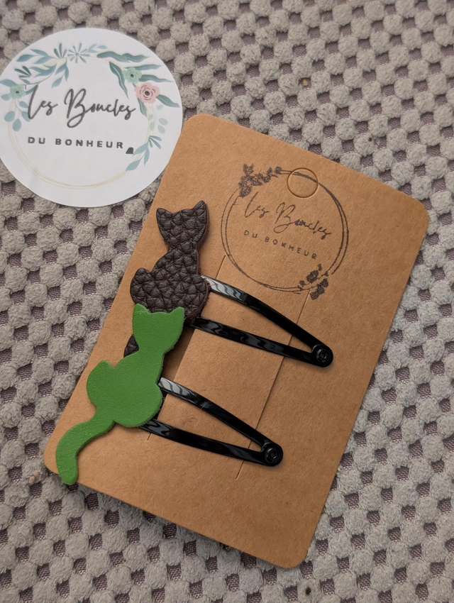 Barrette b050