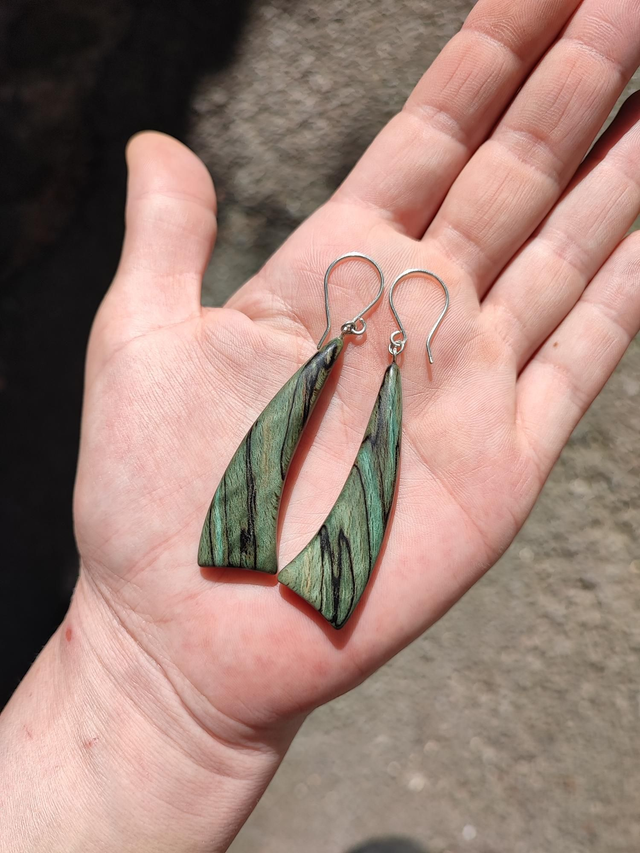 Boucles d'Oreilles en Bois de Hêtre Échauffé stabilisé vert et Argent