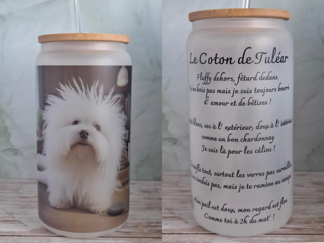Givré Le Coton de Tuléar