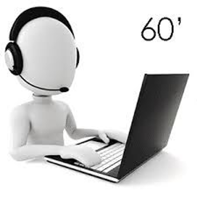 ASSISTENZA REMOTA ON-LINE