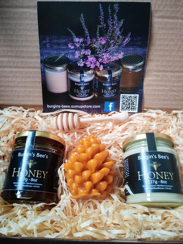 Gift set - Runny 8oz, Natural Set 8oz + Pinecone Candle