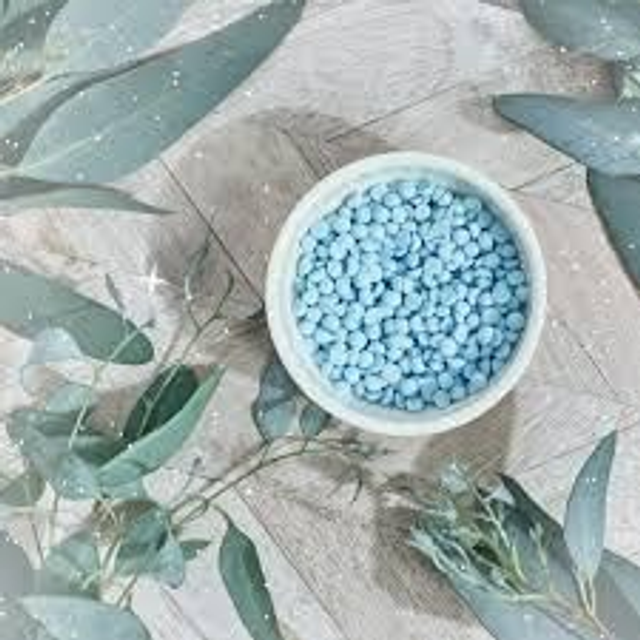 Lenny Frosted Eucalyptus 