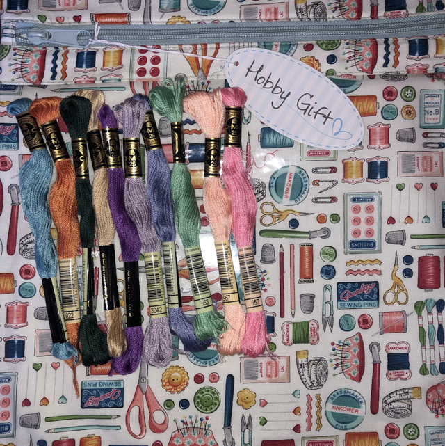 Sewing Notions Project Bag plus 10 DMC Threads