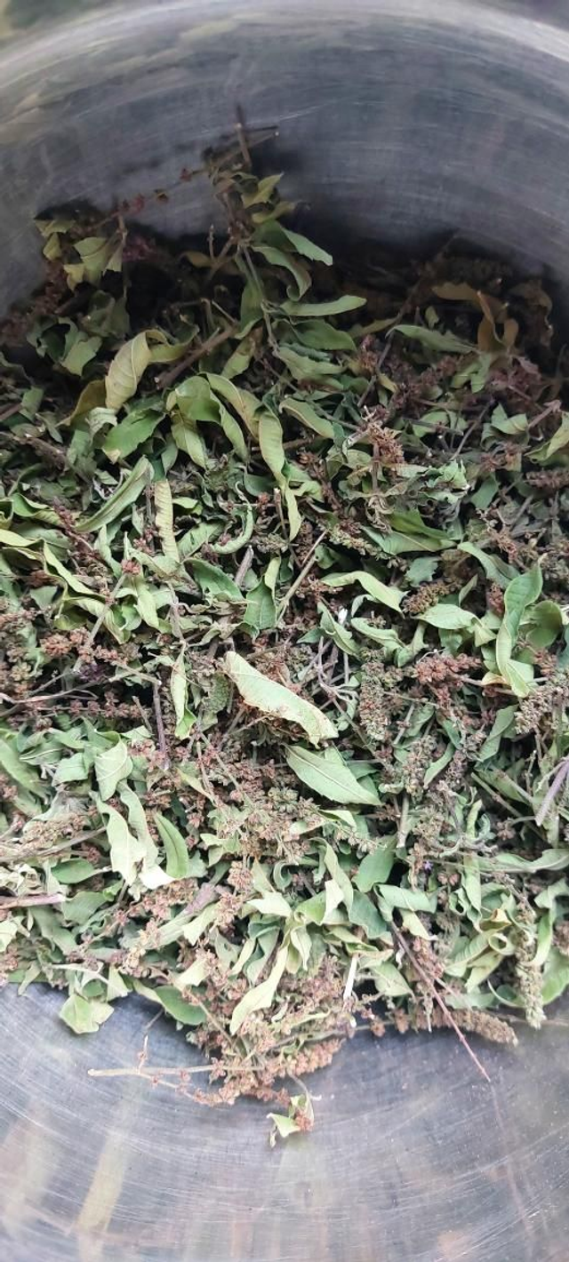 Gourmandise des petits